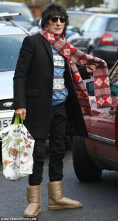 article-0-07B31F39000005DC-537_468x882